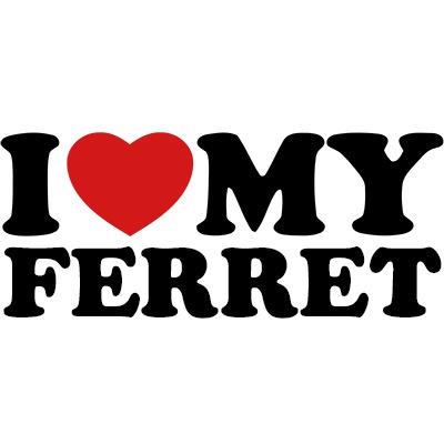 I love my ferret